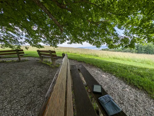Reading under and Tree in Switzerland
