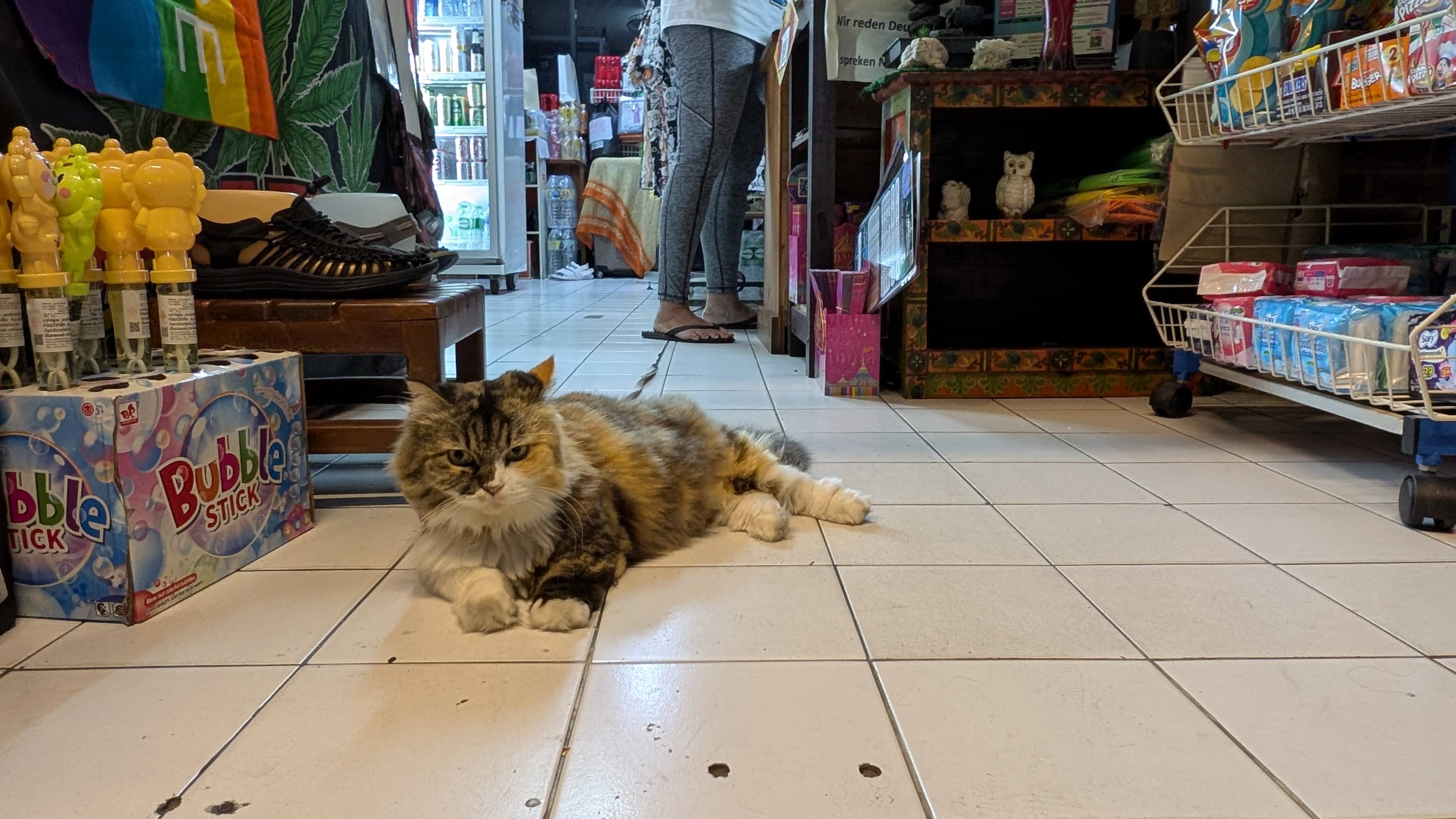 PXL 20250110 121328705