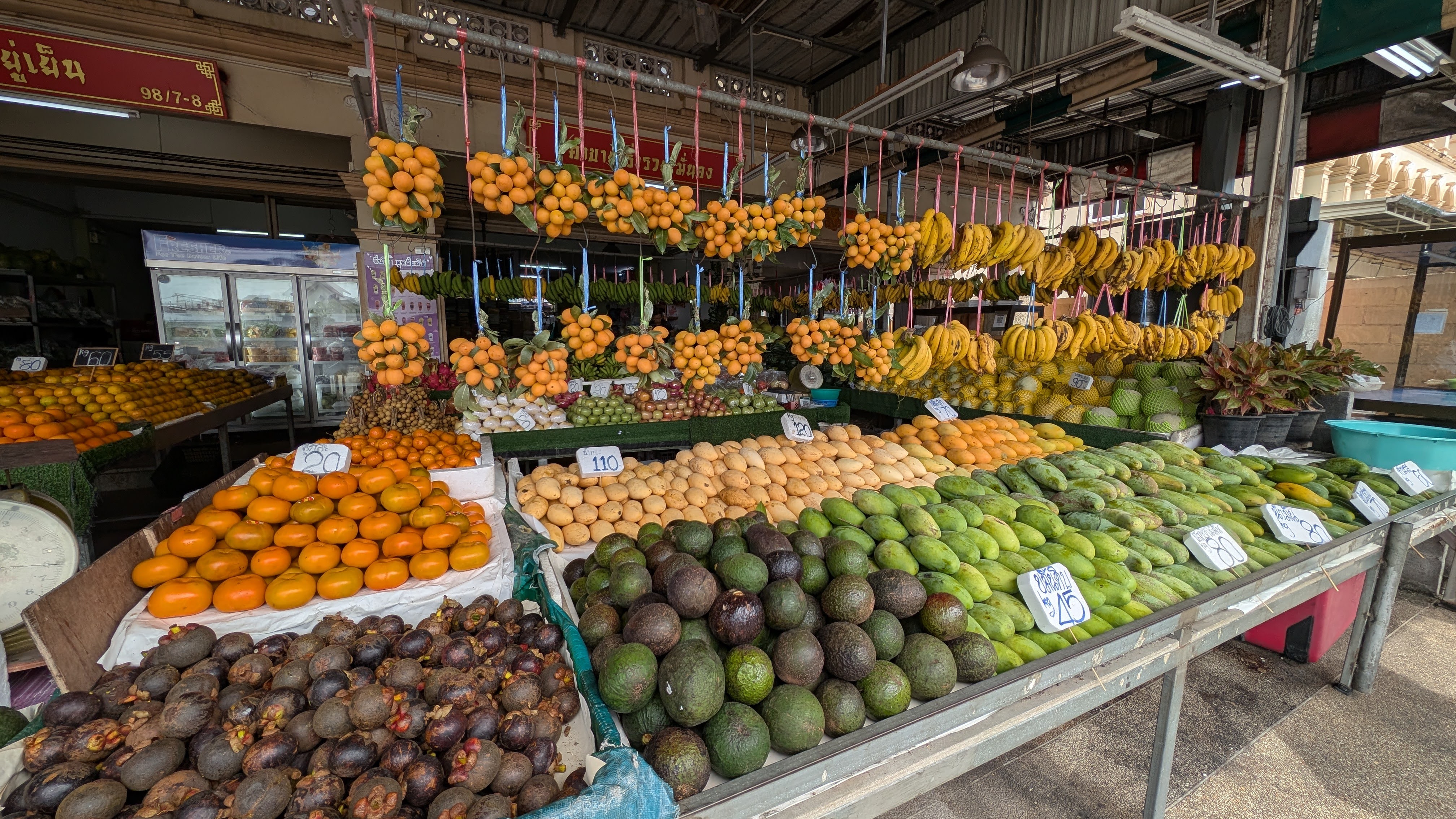 PXL 20250111 042633856