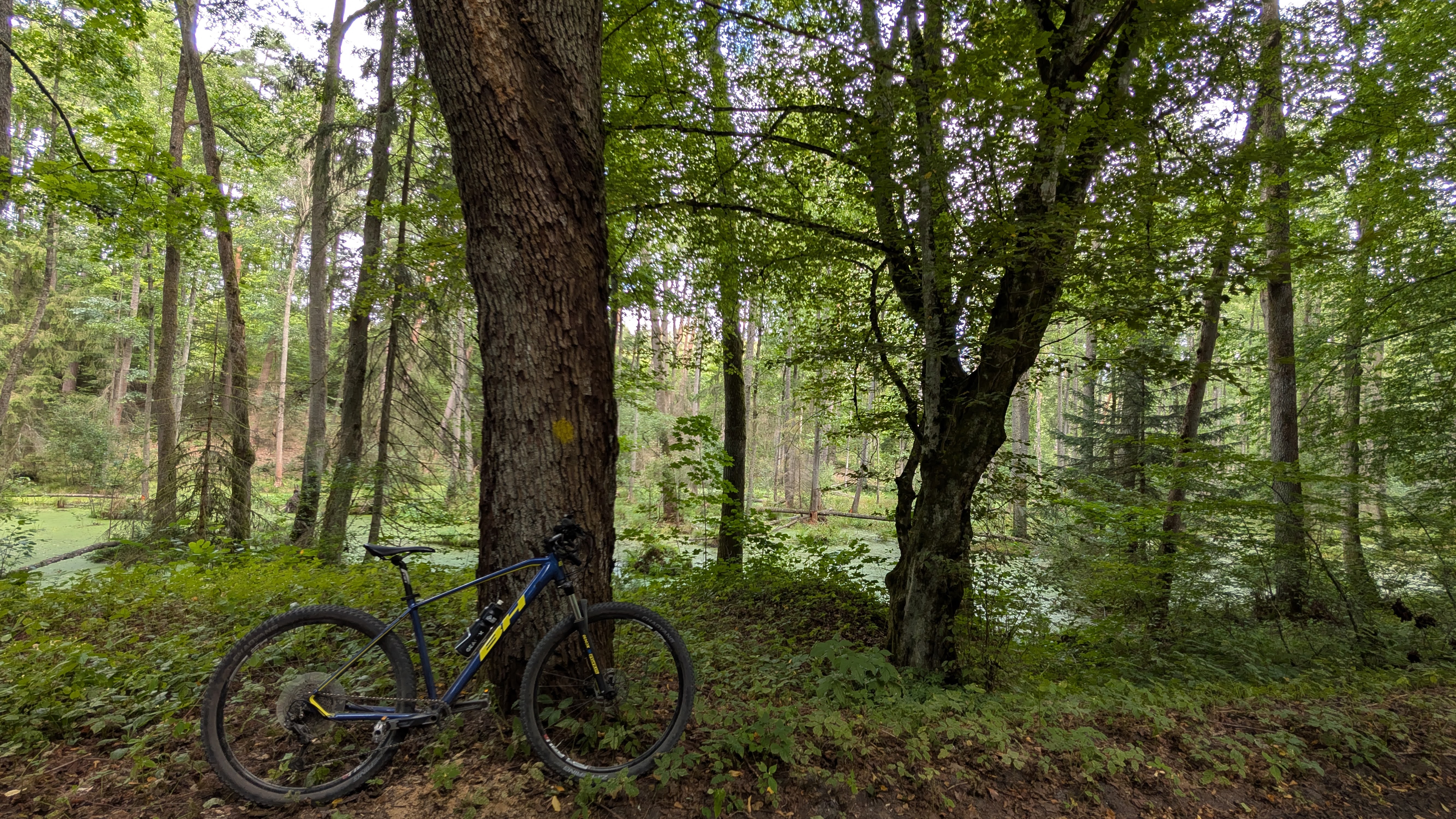 PXL 20250823 095239944