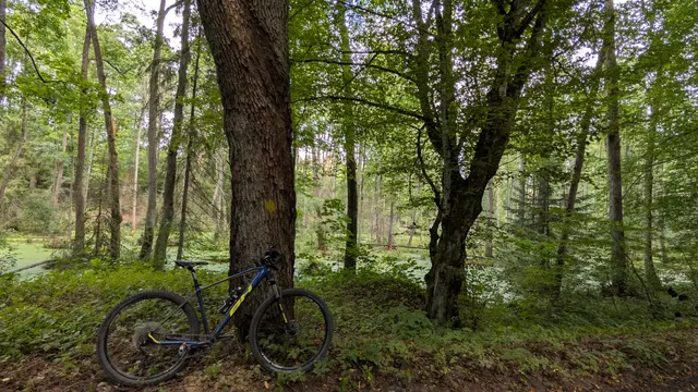Discovering Olsztyn — PXL_20250823_095239944.jpg