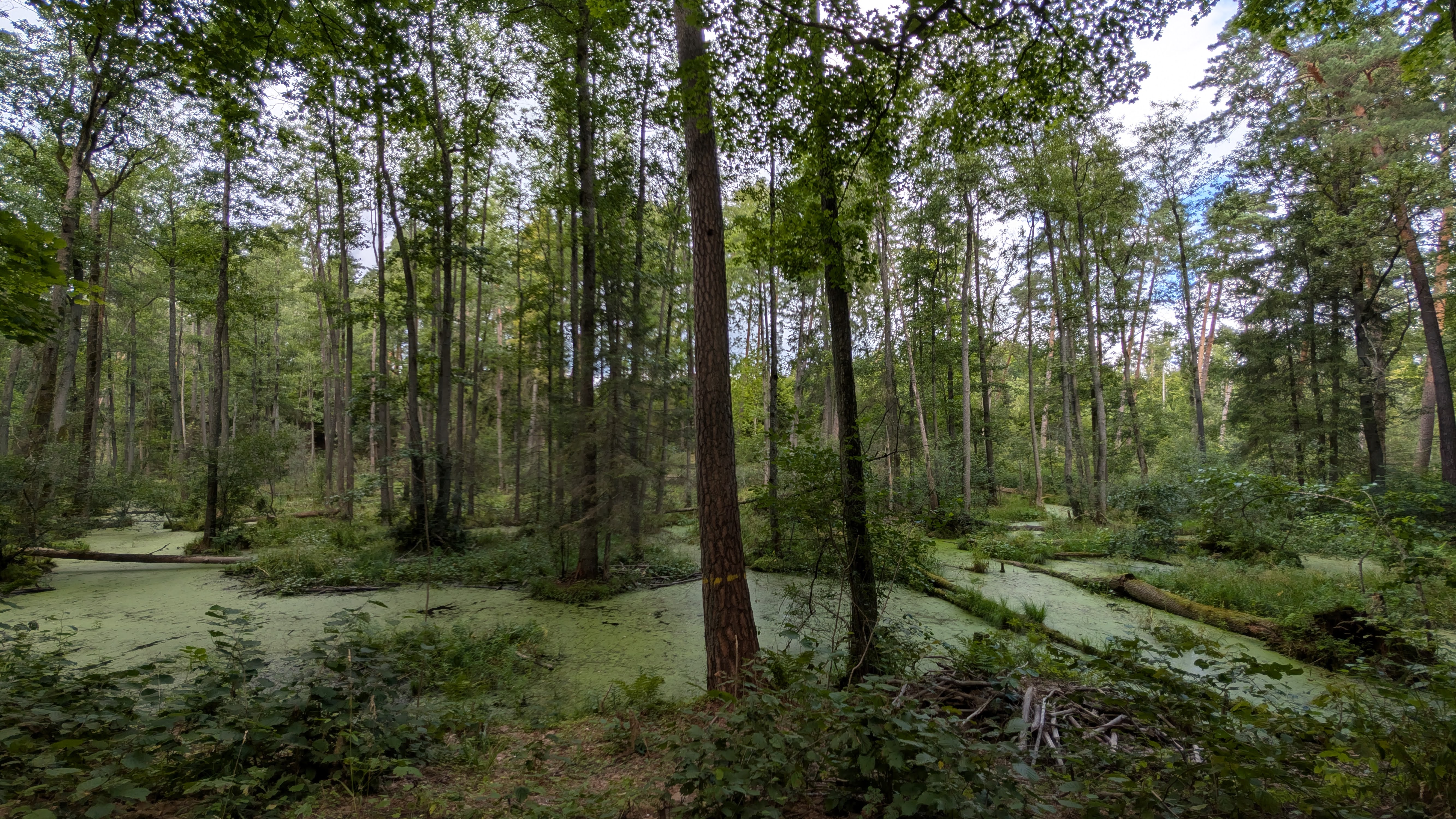 PXL 20250823 095446475